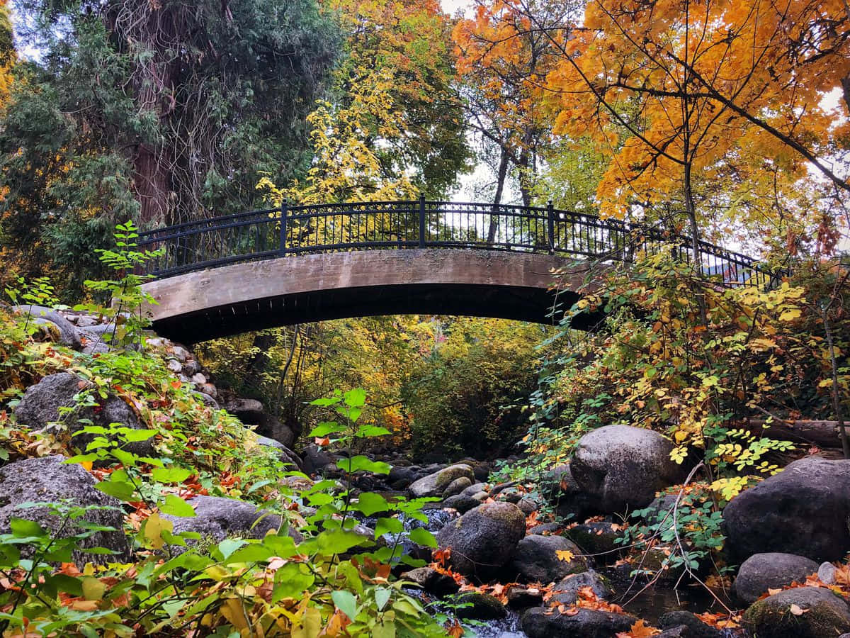 Caption: Stunning Fall Bridge Wallpaper