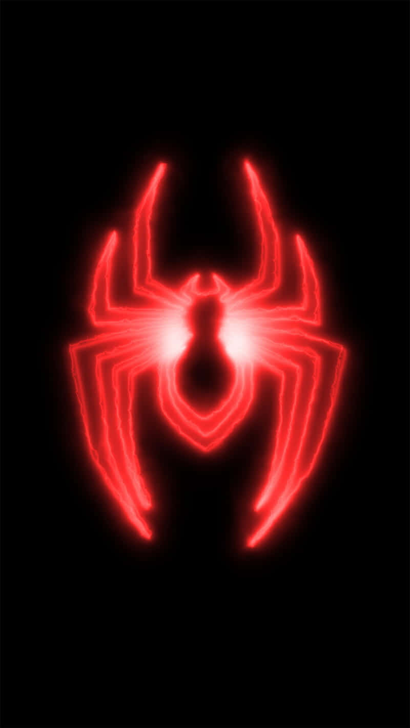 Caption: Stunning Red Spider Up Close Wallpaper