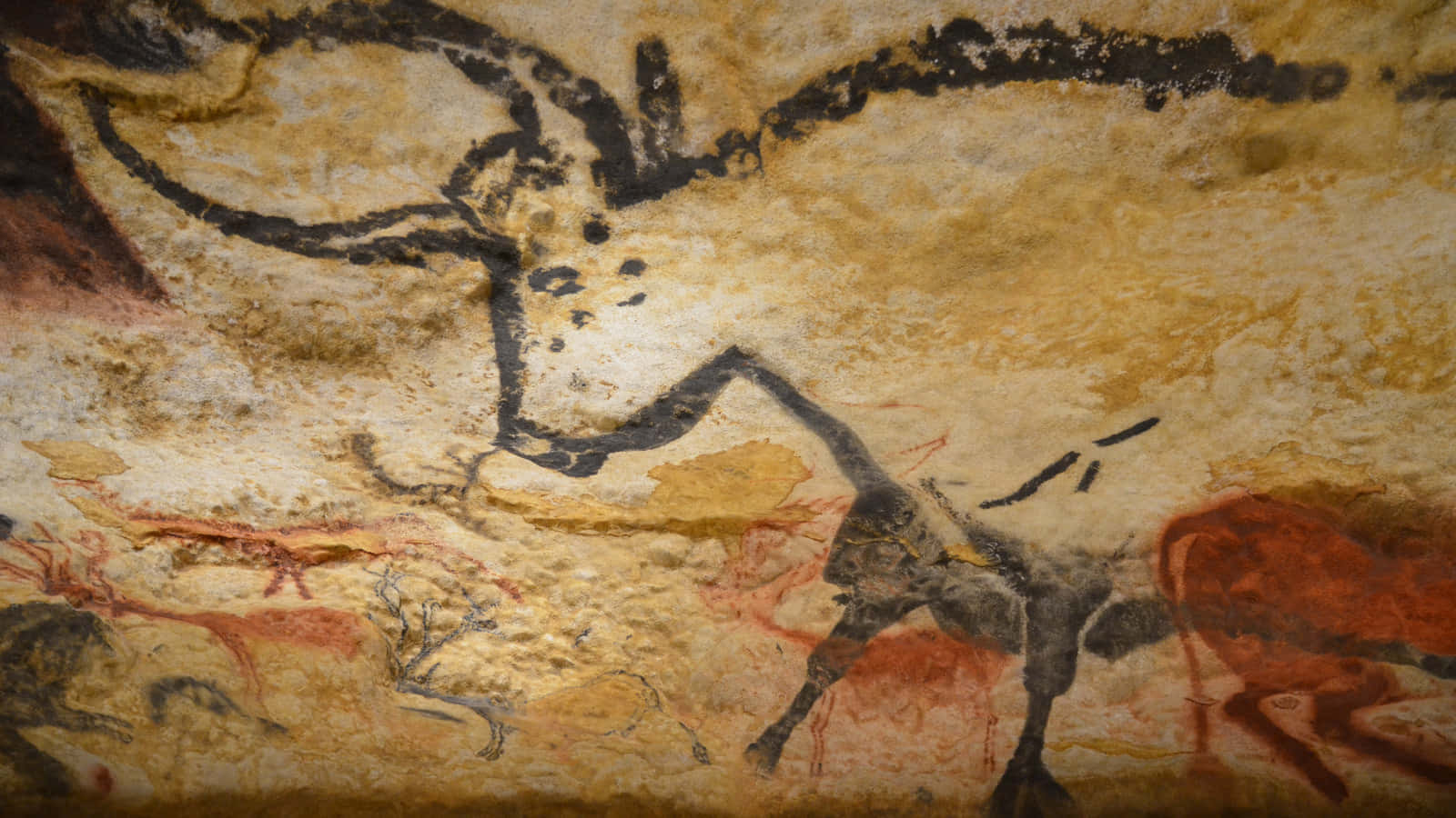 Caption: The Mesmerizing Art Of Lascaux Caves Wallpaper