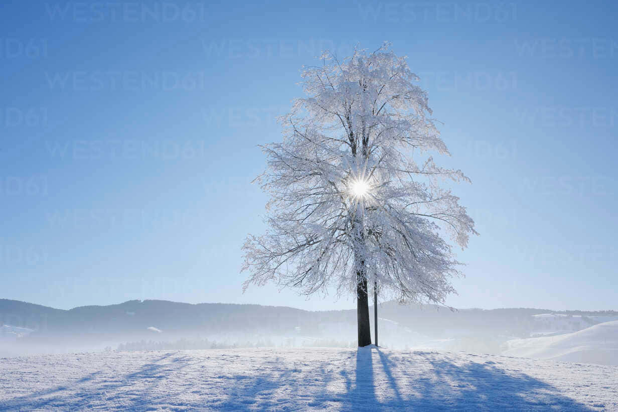 Caption: The Serene Beauty Of Lake Zug At Sunset In Switzerland Wallpaper