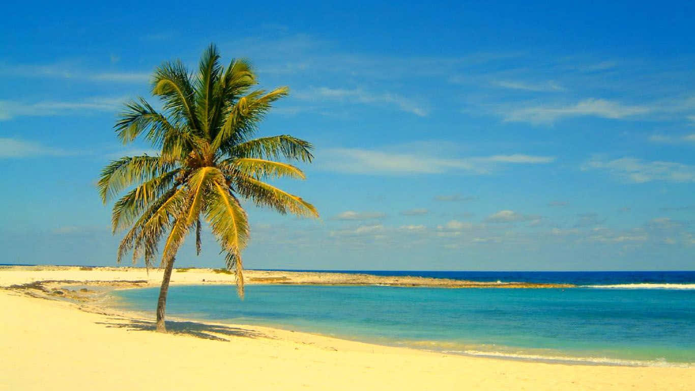 Caption: Tranquil Beauty At Bahamas Beach Wallpaper