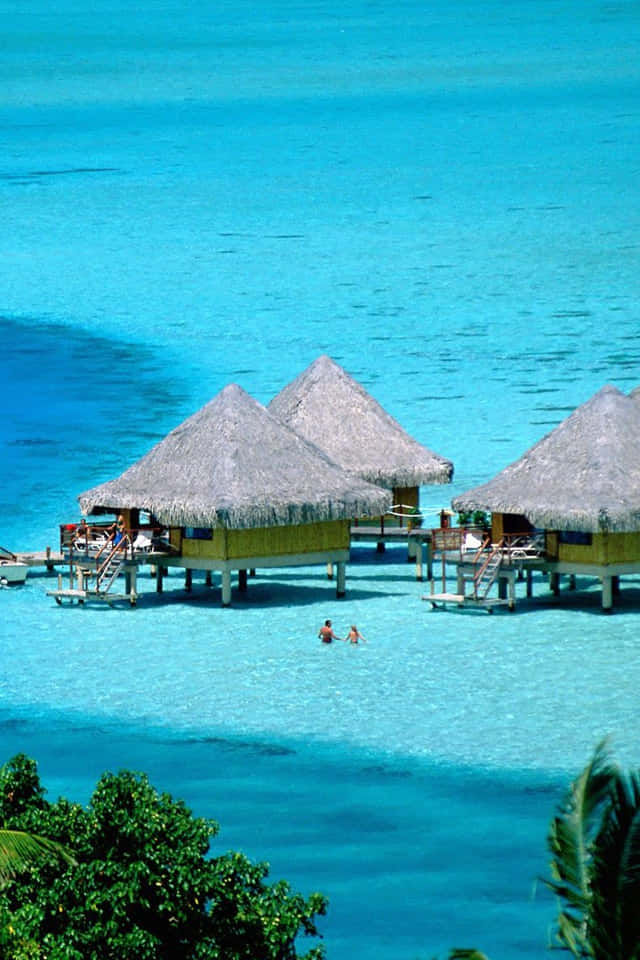 Caption: Tropical Paradise - Breathtaking View Of Bora Bora Wallpaper