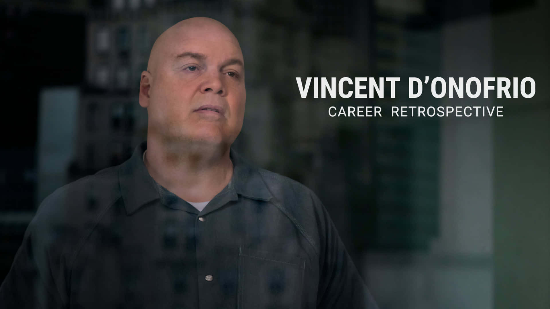 Caption: Vincent D'onofrio Portrait Wallpaper