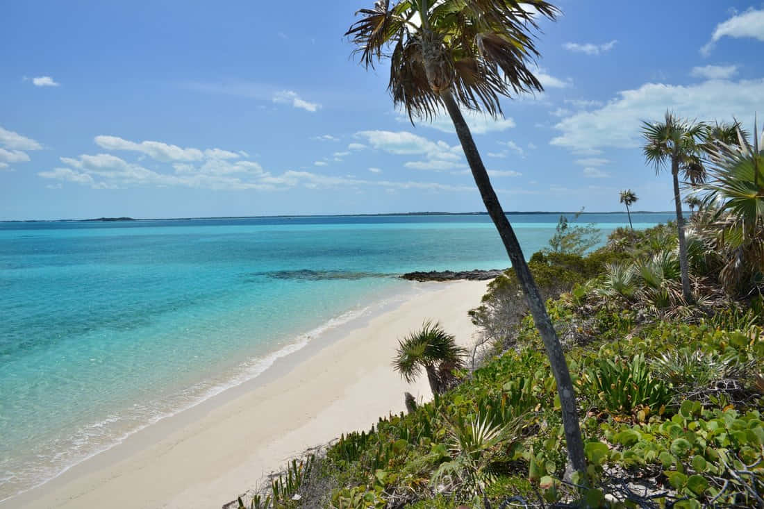 Captivating Bahamas Island Shoreline Wallpaper