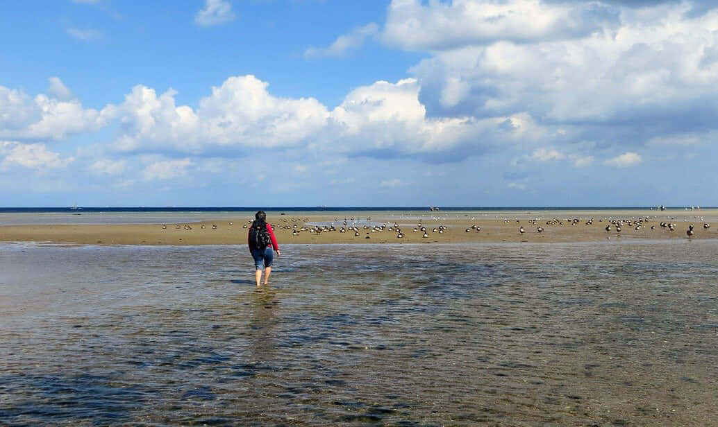 Captivating Beach Walk Wallpaper