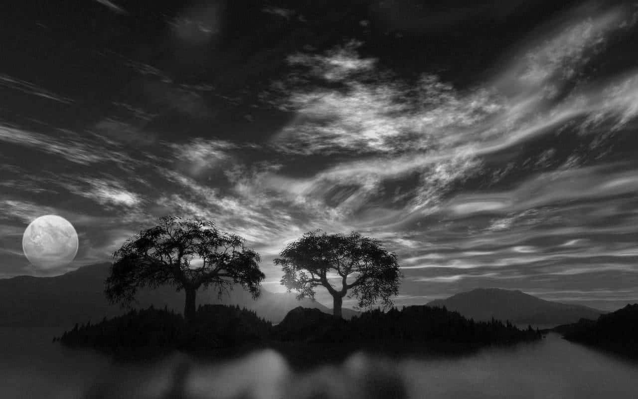 Captivating Black And White Nature Landscape Wallpaper