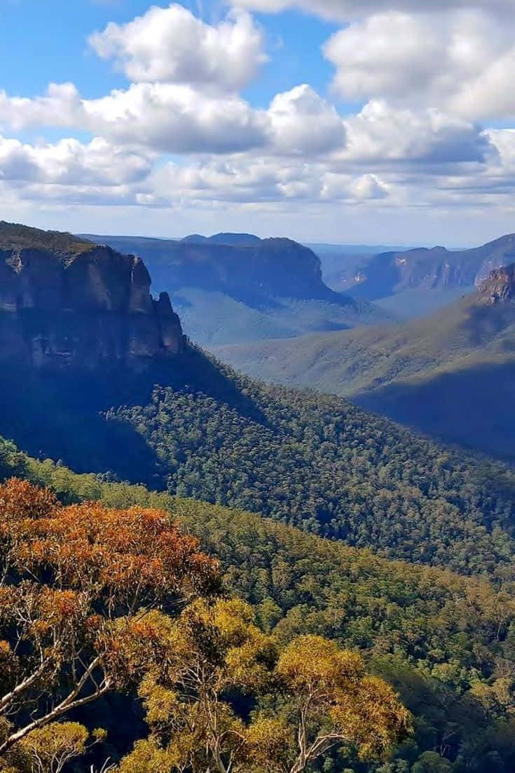 Captivating Blue Mountains Wallpaper