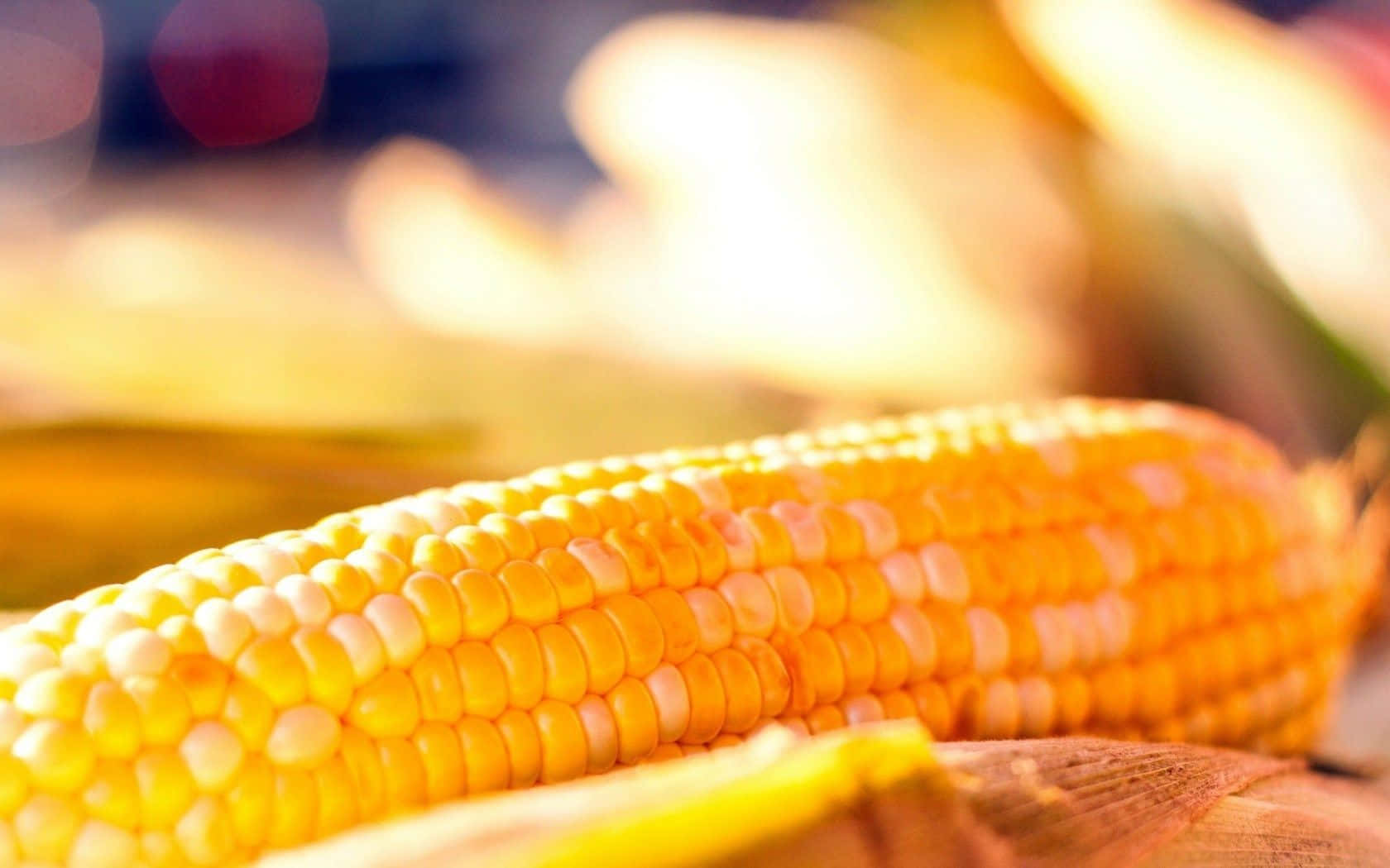 Captivating Close-up Shot Of Vibrant Yellow Corn Kernels Wallpaper