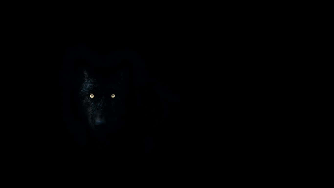 Captivating Gaze Of Wolf Eyes Wallpaper