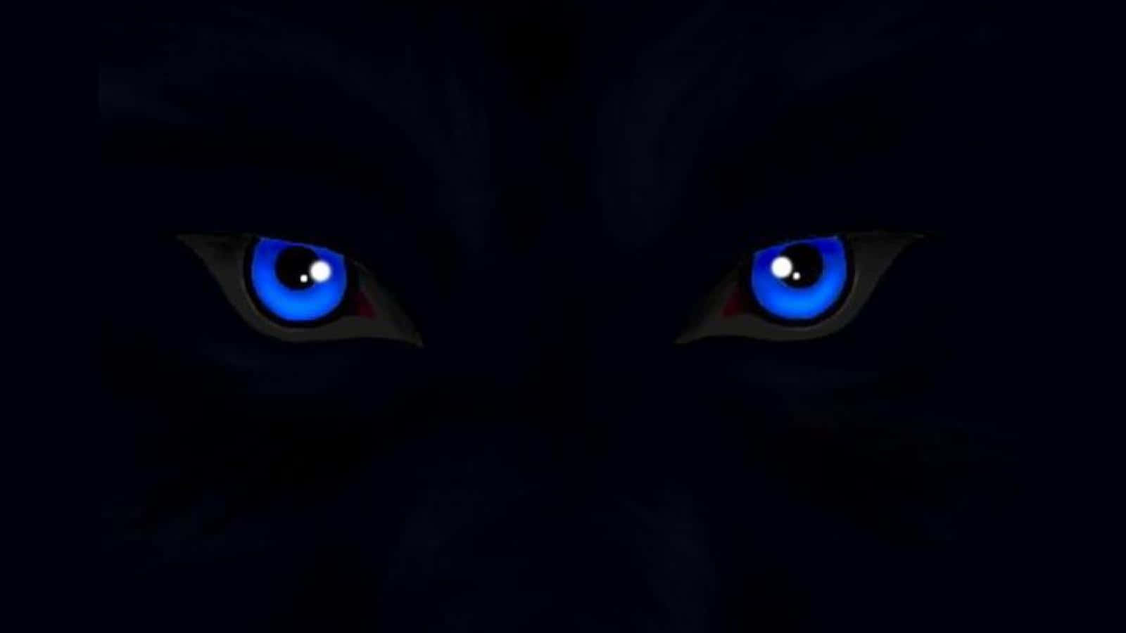 Captivating Gaze Of Wolf Eyes Wallpaper