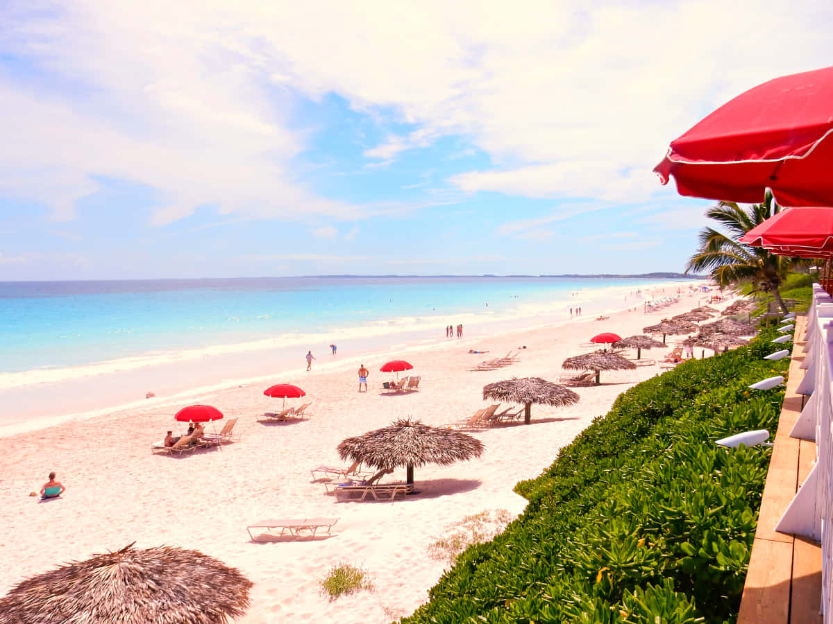 Captivating Pink Sand Beach Wallpaper