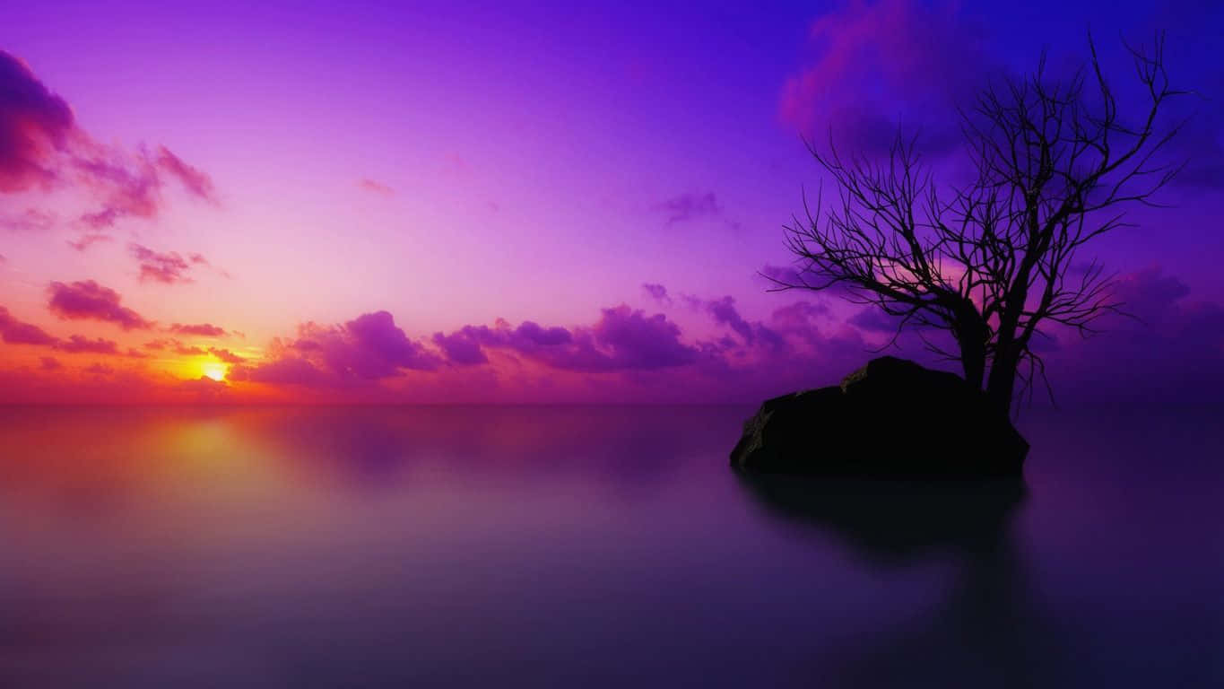 Captivating Purple Sunset Wallpaper