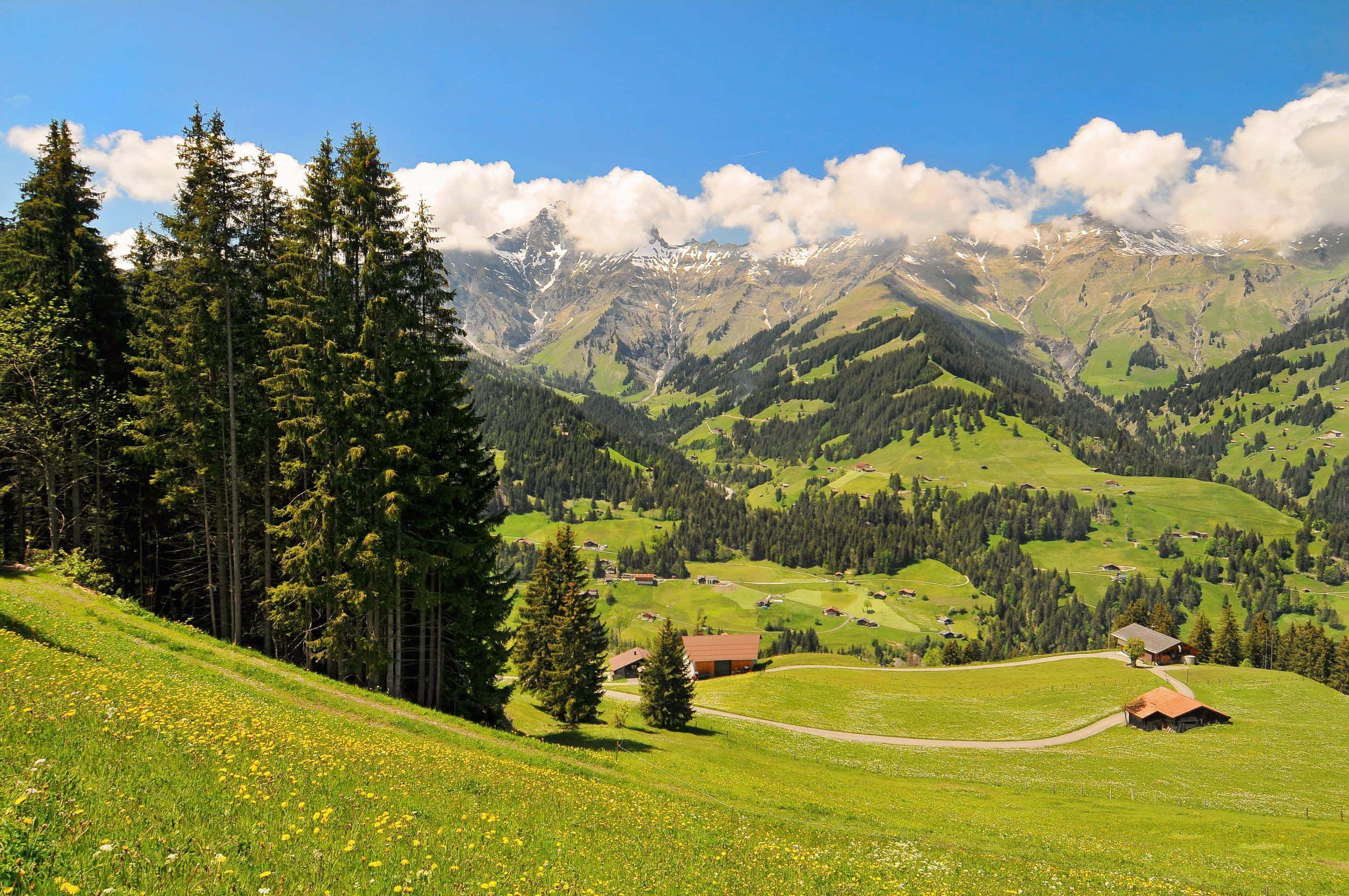 Captivating View Of Thun Cityscape Wallpaper