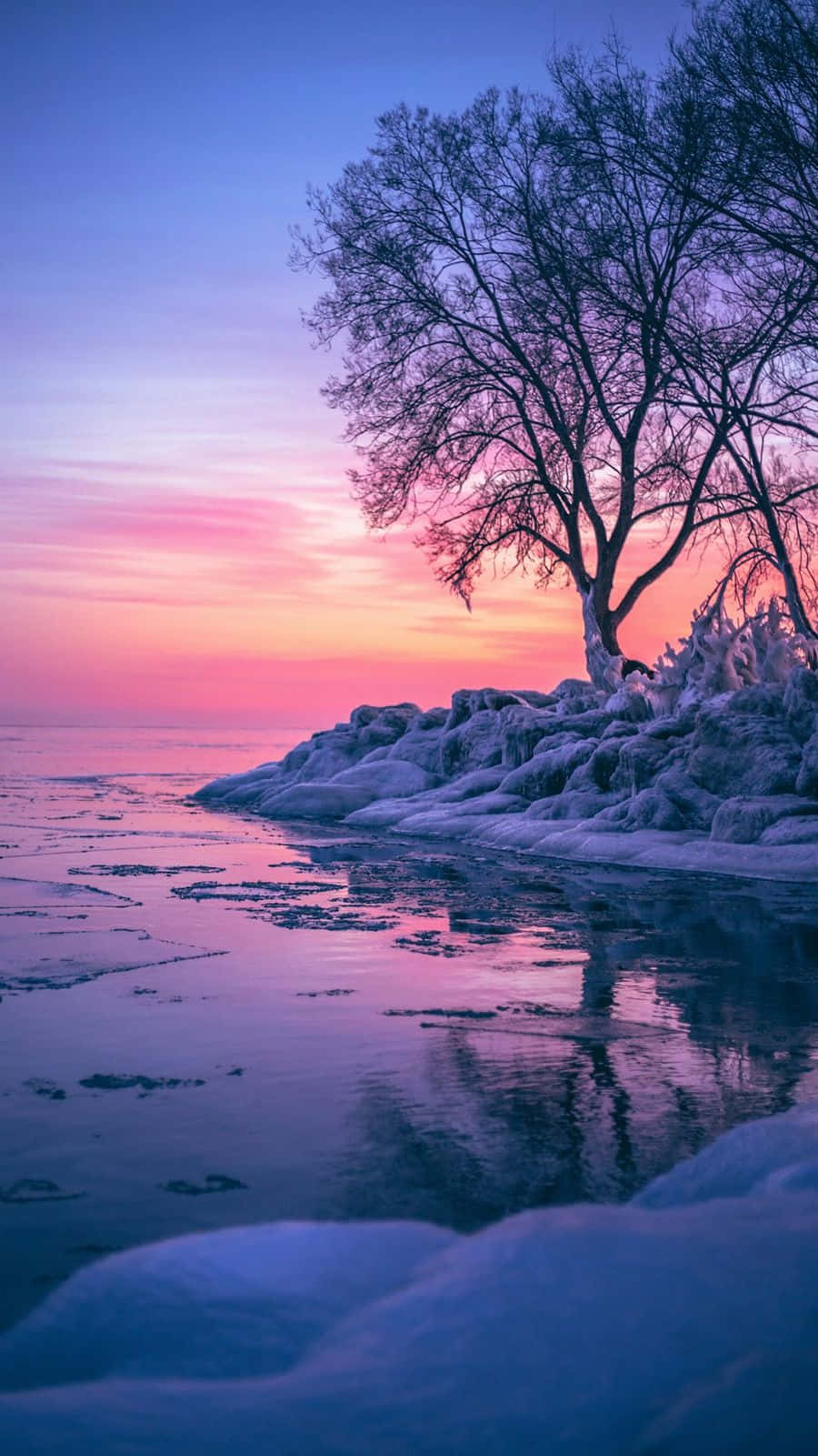 Captivating Winter Sunrise Wallpaper