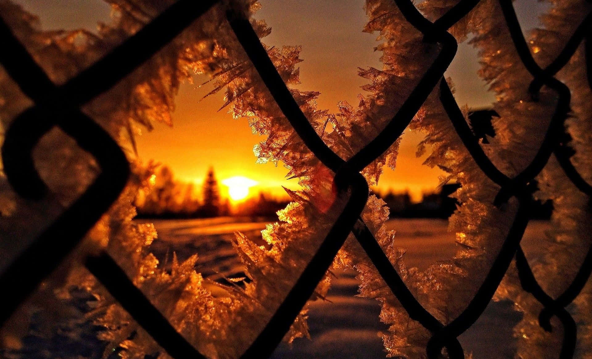 Captivating Winter Sunset Wallpaper