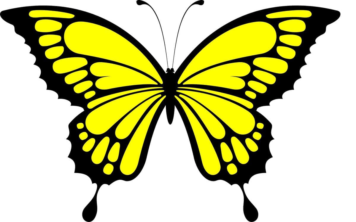 Captivating Yellow Butterfly Wallpaper