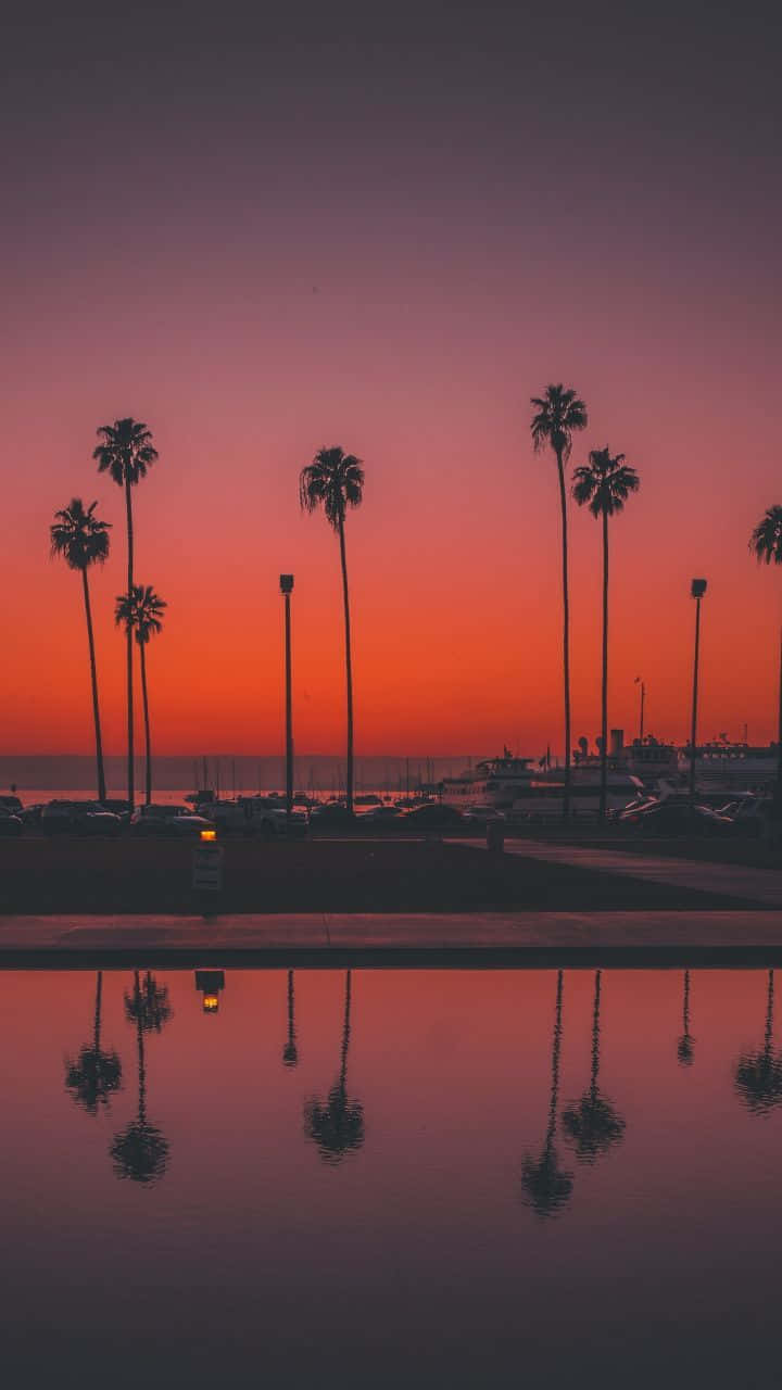 Capture San Diego's Iconic Skyline From Your Iphone Wallpaper