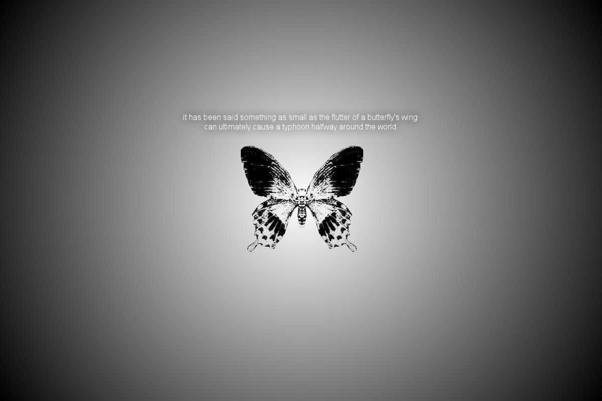 Capturing The Butterfly Effect Wallpaper