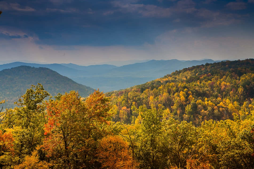 Car Driving Down The Majestic Blue Ridge Parkway Wallpaper