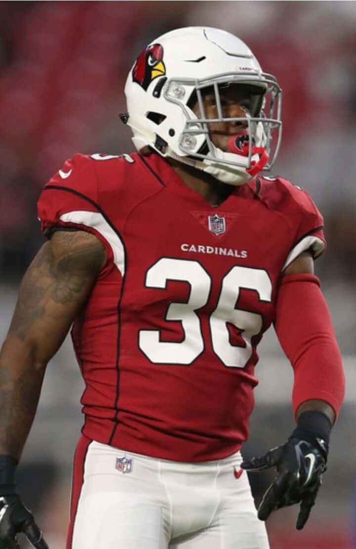 Cardinals Football Player36 Wallpaper