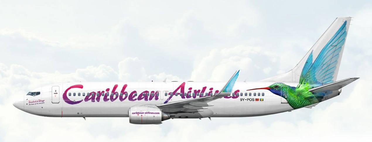 Caribbean Airlines Bird Wings Mural Wallpaper