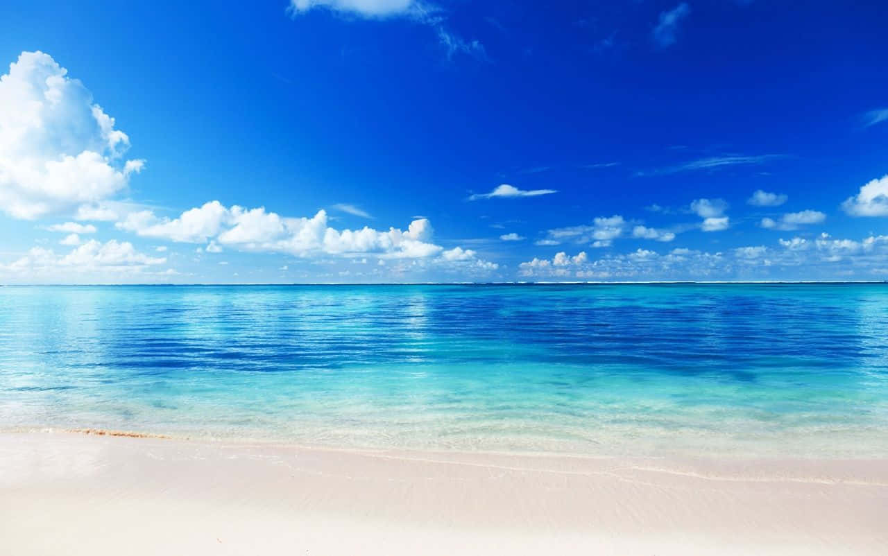 Caribbean Paradise Beach Wallpaper