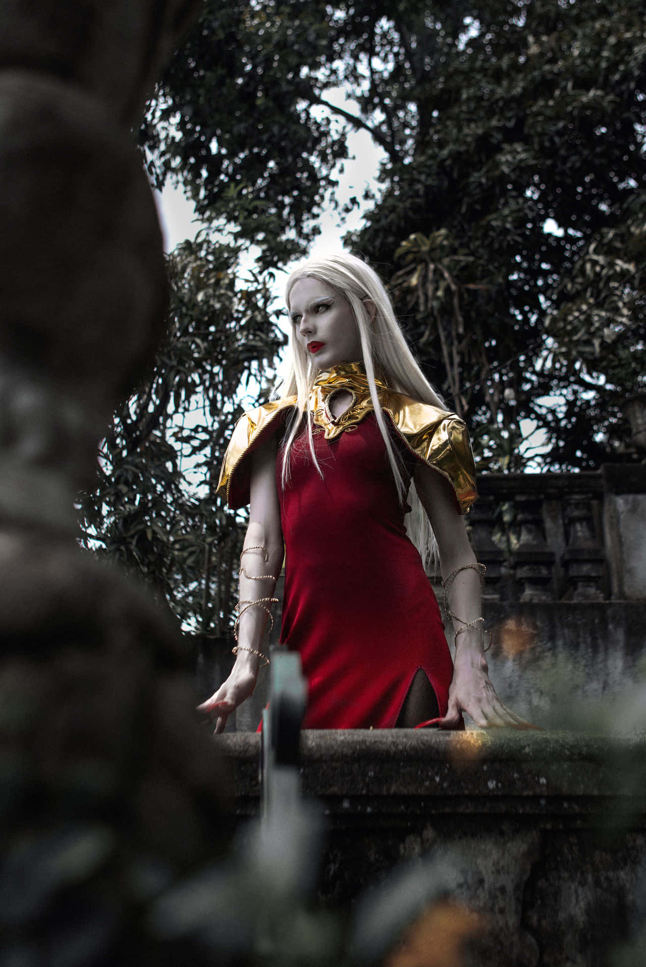 Carmilla Cosplay Castlevania Series Wallpaper