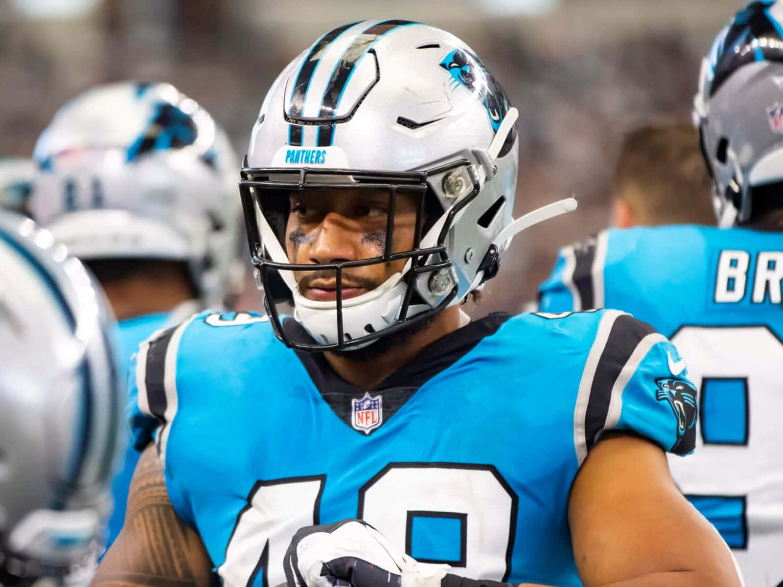 Carolina Panthers Linebacker Focused During Game Wallpaper