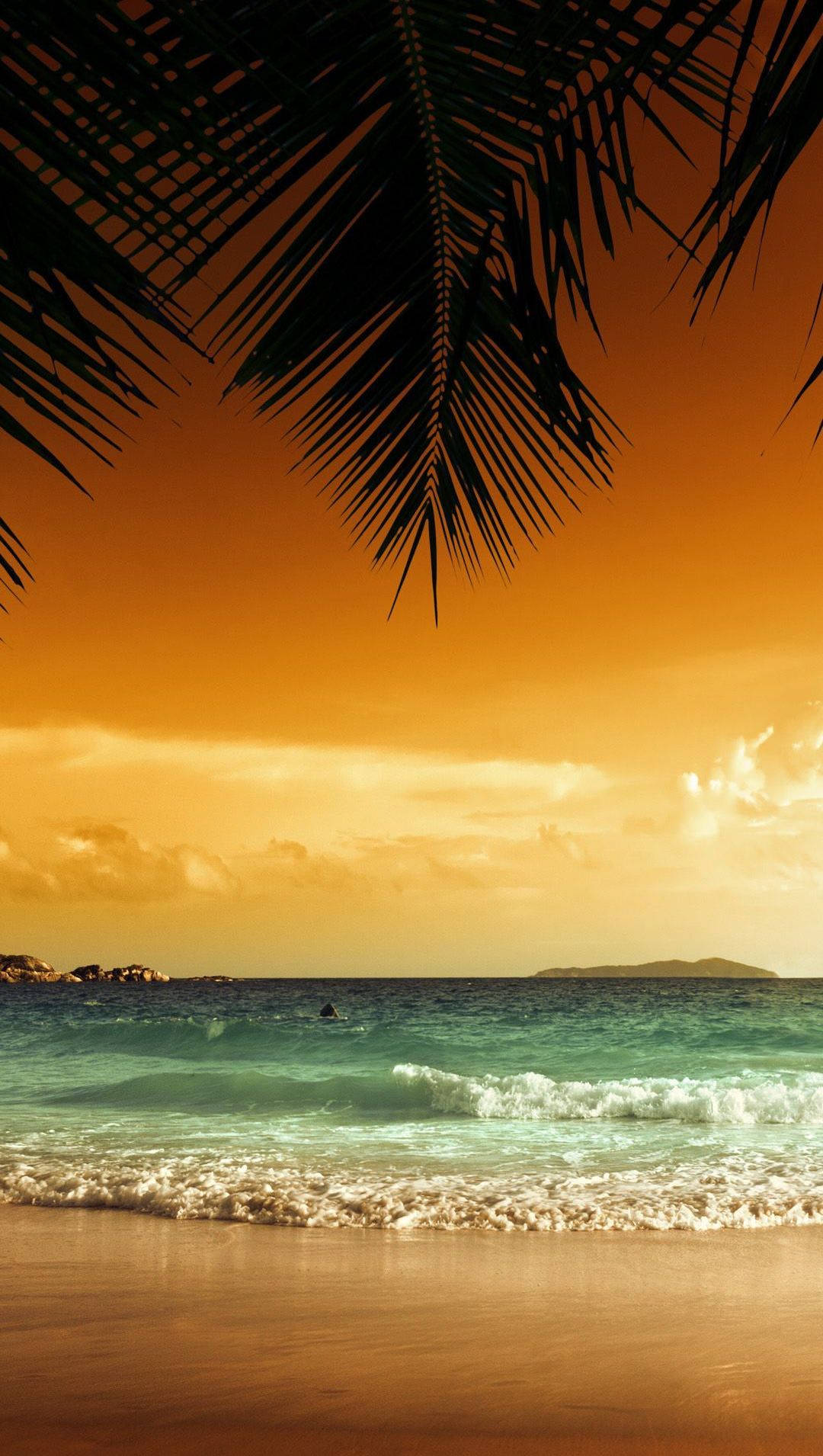 Carribean Beach Iphone Wallpaper