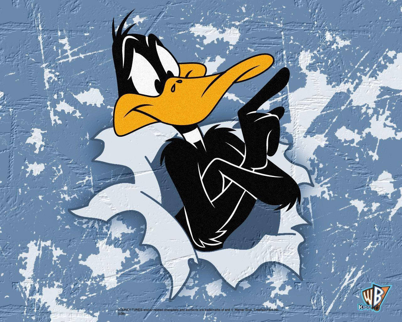 Cartoon Character Daffy Duck Wallpaper