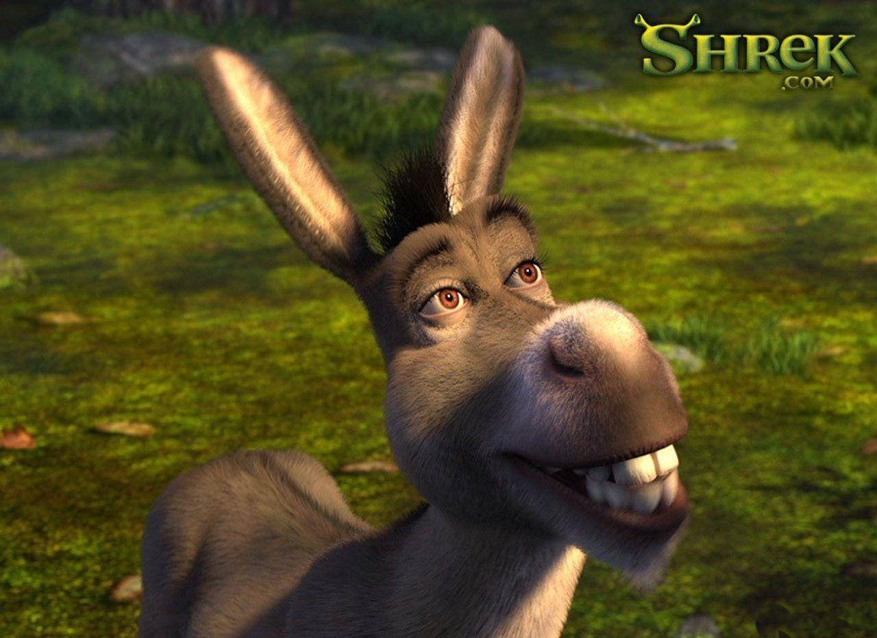 Cartoon Donkey From Shrek Wallpaper