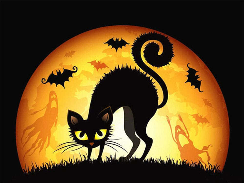 Cartoon Scary Cat With Bats Wallpaper