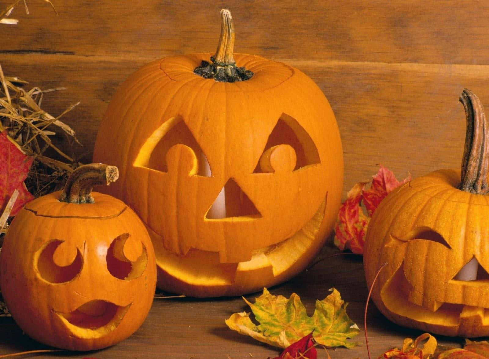 Carved Pumpkins Cute Expressions Wallpaper