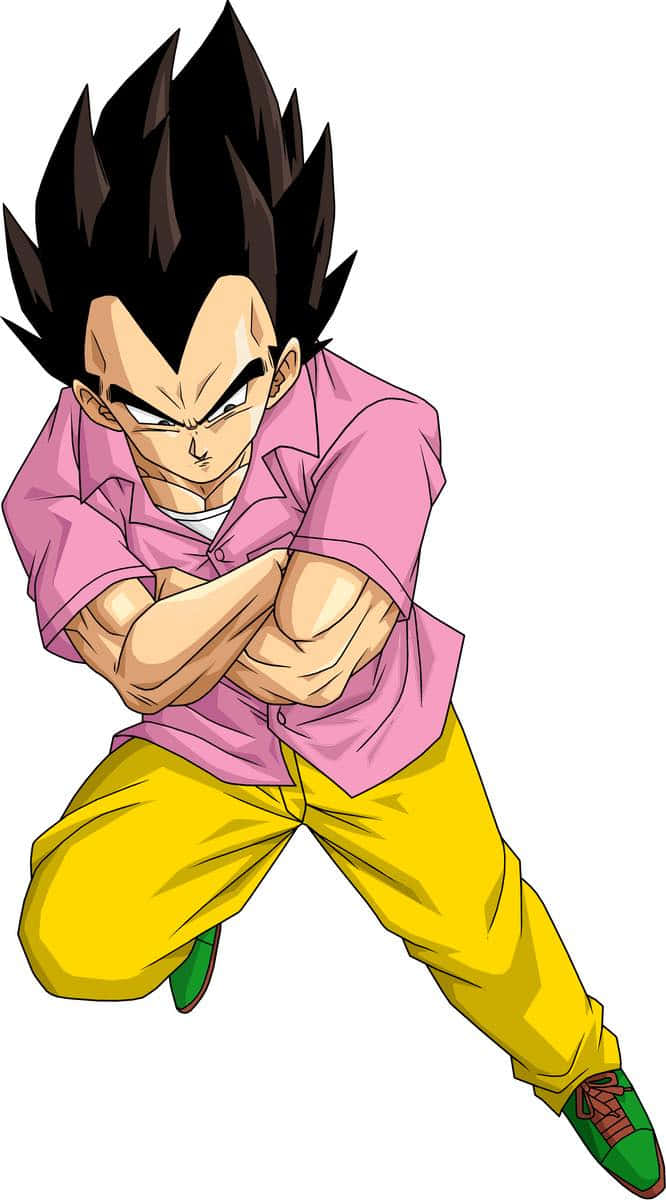 Casual Vegeta Anime Artwork Wallpaper