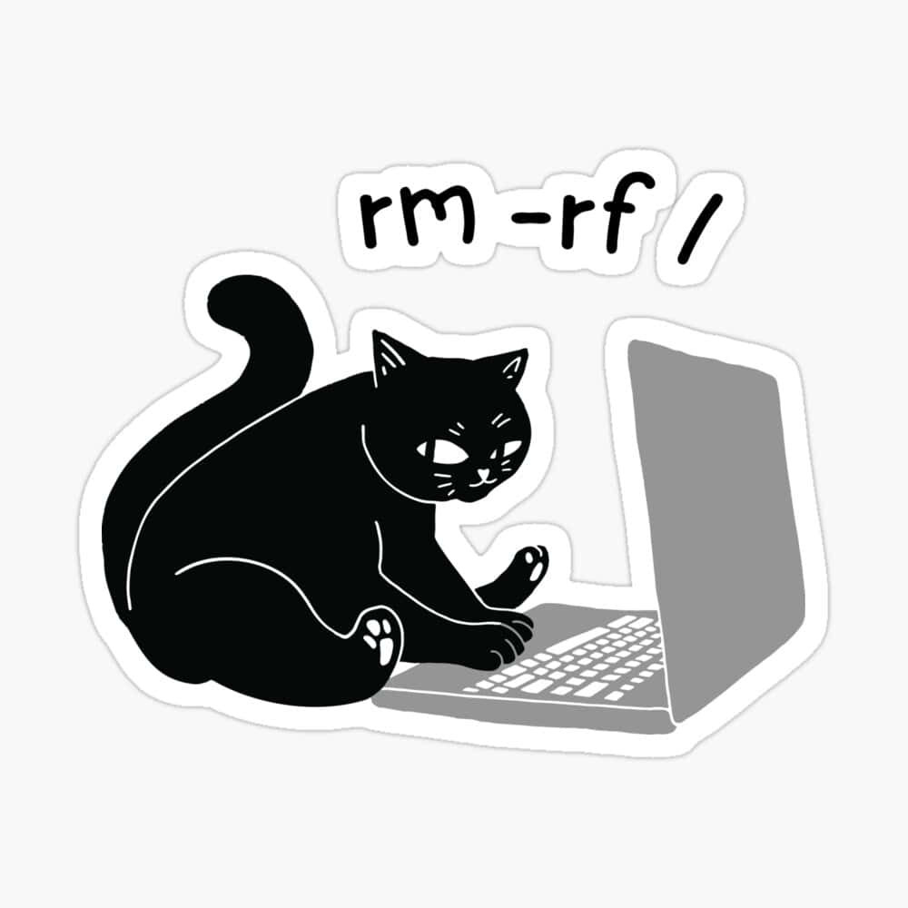 Cat_ Command_ Line_ Typing_ Sticker Wallpaper