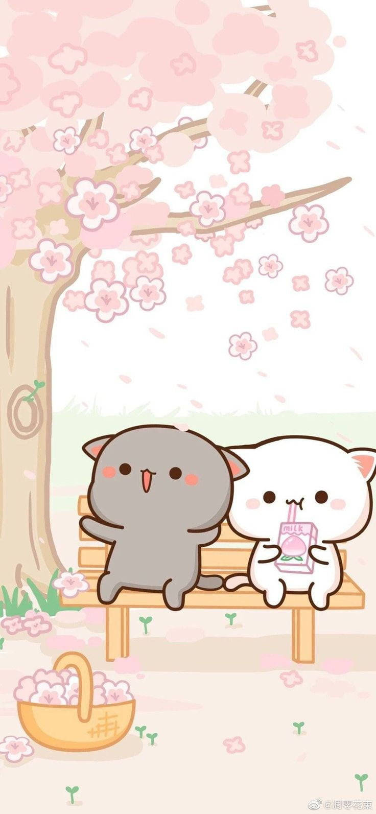 Cat Couple Tumblr Iphone Wallpaper