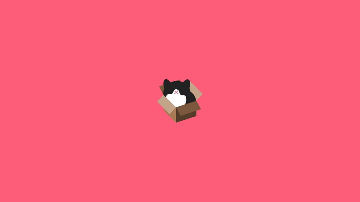 Cat In Box Minimalist Design Hd Wallpaper