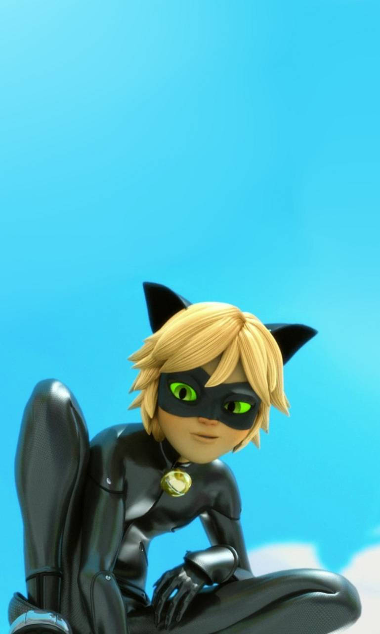 Cat Noir And The Sky Wallpaper