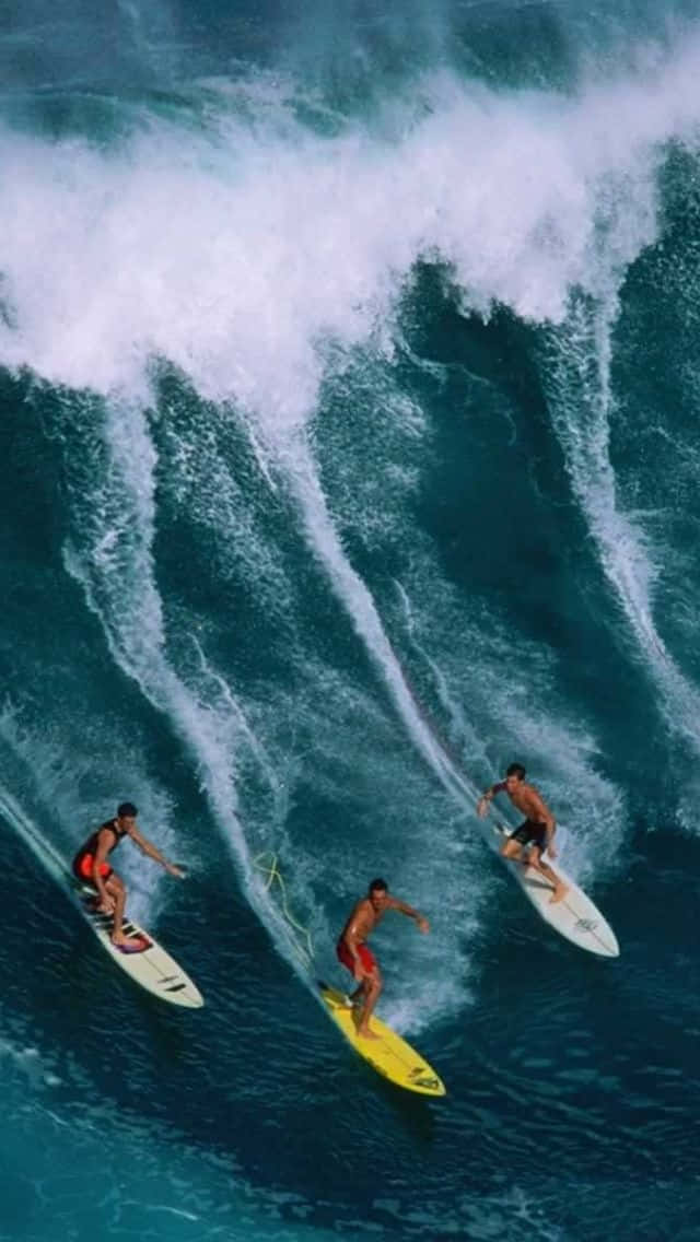 Catch The Wave! Wallpaper