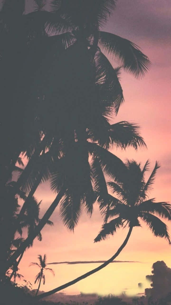 Catch This Serene Aesthetic Sunset On Your Iphone Wallpaper