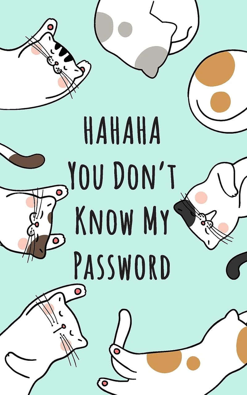 Cats Password Humor Illustration Wallpaper