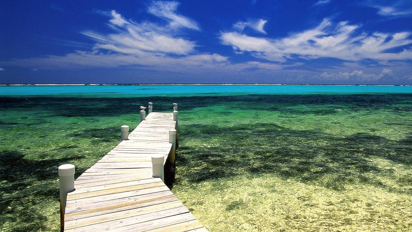 Cayman Island Grand Pier Wallpaper