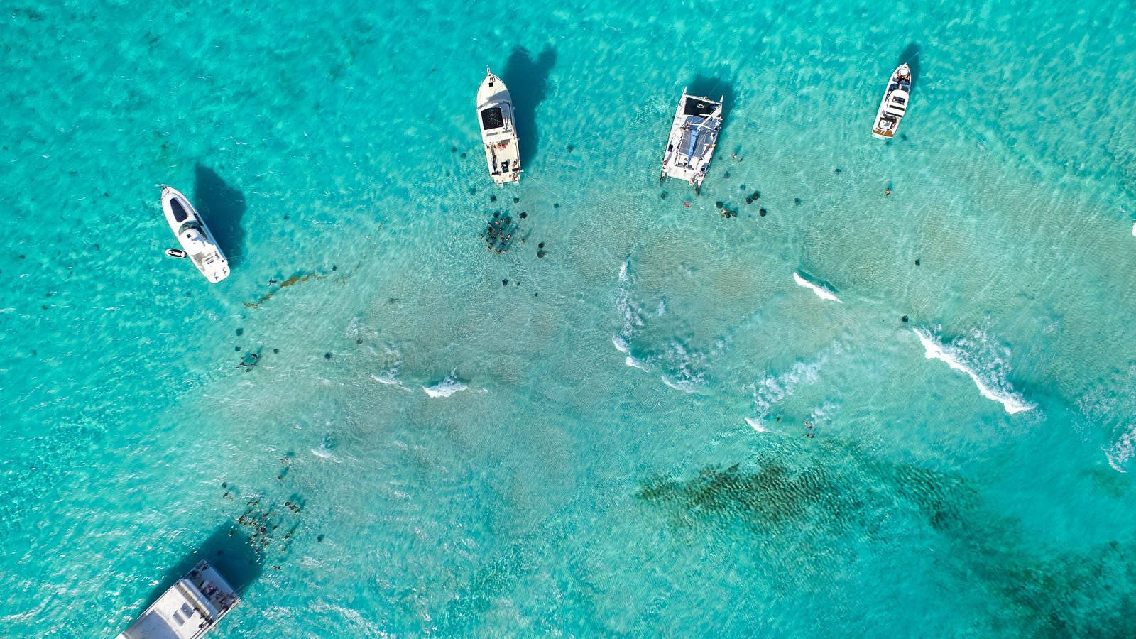 Cayman Island’s Sandbar Wallpaper