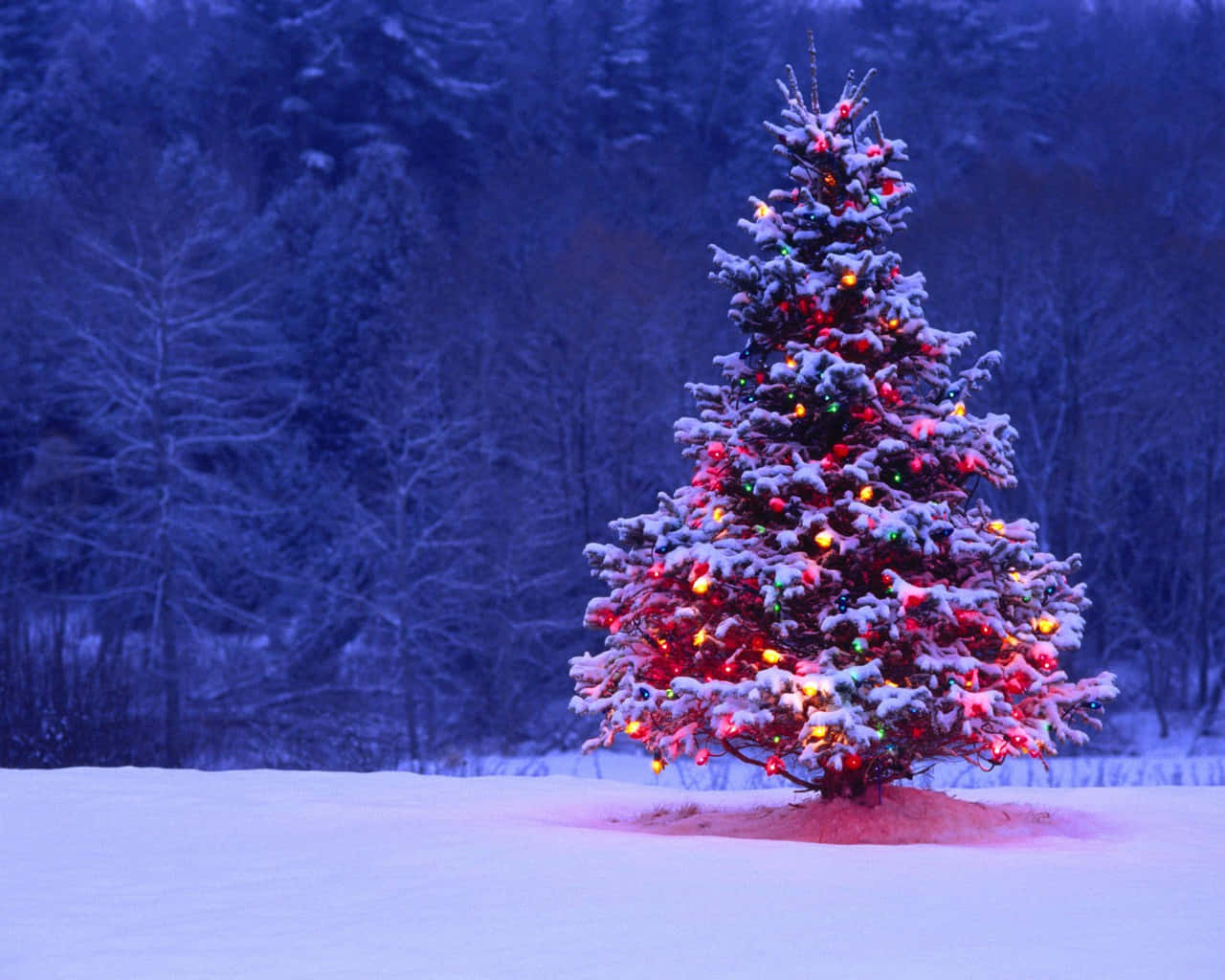 Celebrate Christmas With A Magical Winter Wonderland Wallpaper