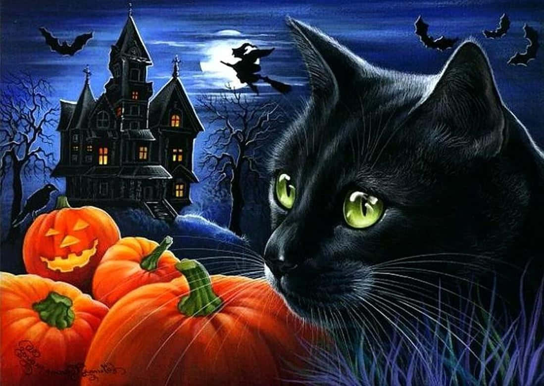 Celebrate Halloween With Your Lovable Black Cat! Wallpaper