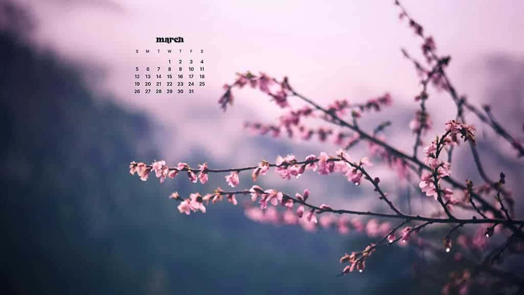 Celebrate The Arrival Of March With This Desktop Background Wallpaper