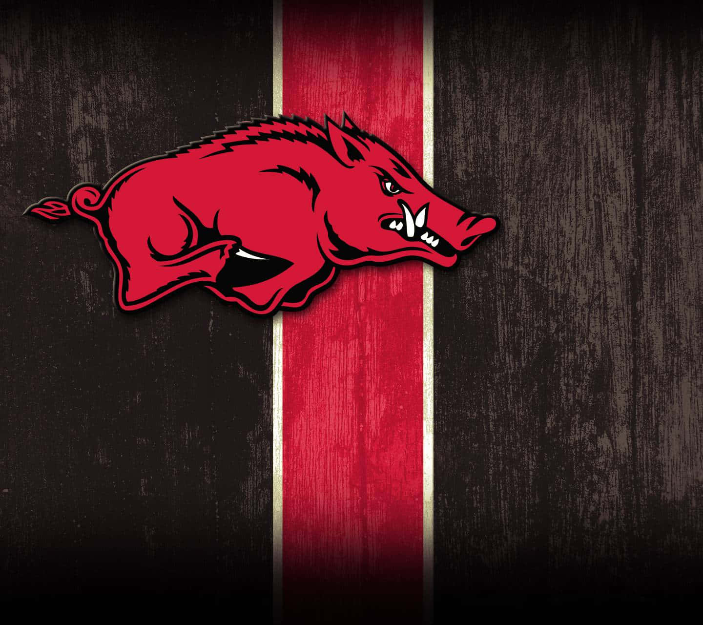 Celebrate With Arkansas Razorbacks Wallpaper