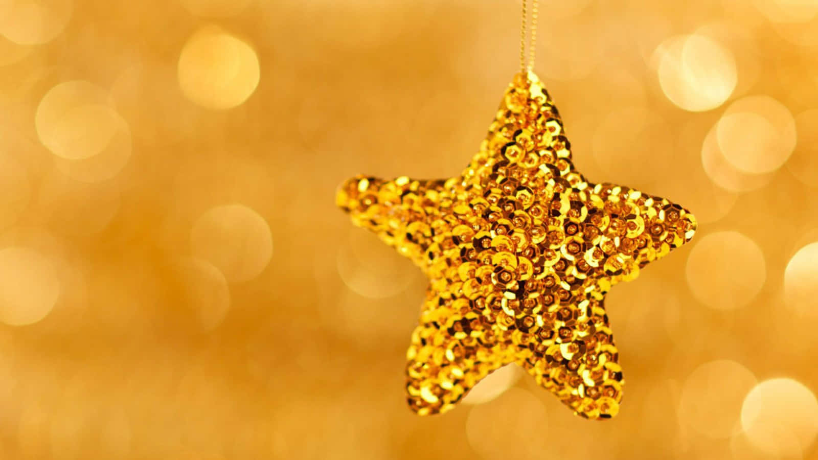 “celebrate Your Successes With Gold Stars!” Wallpaper