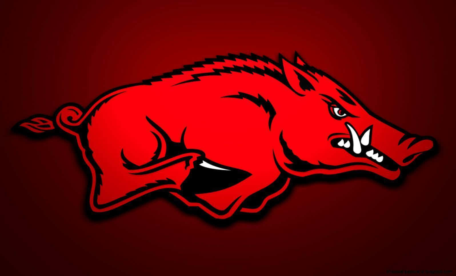 Celebrating Arkansas Razorbacks Success Wallpaper