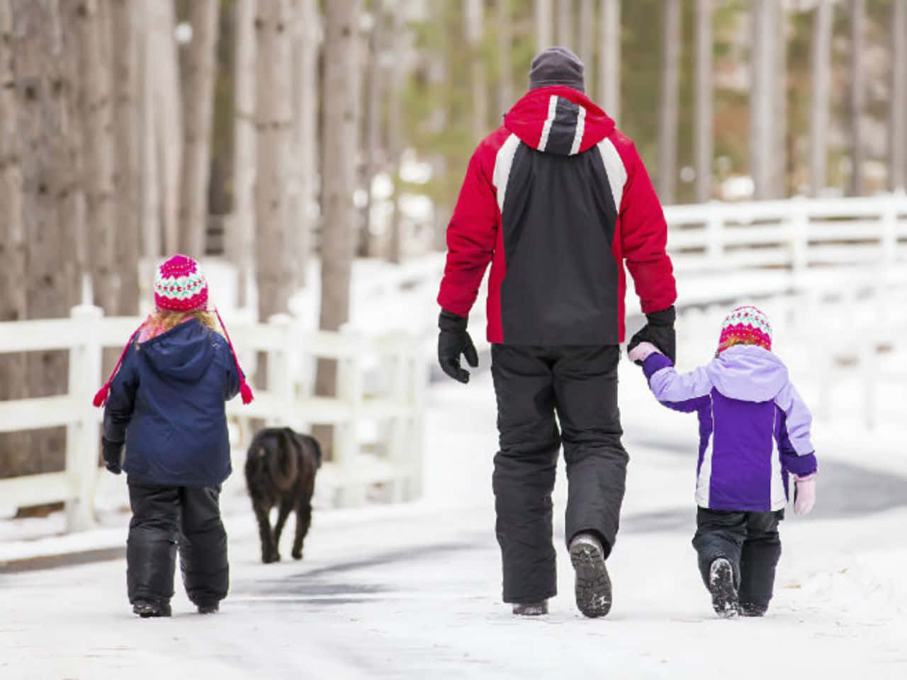 Celebrating Family Day, Togetherness Is Our Strength Wallpaper